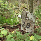 590078 Crash Site 2012