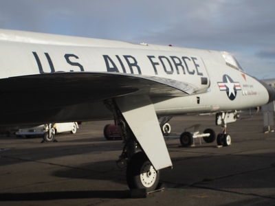 wings and wingtip 590086 Dec2019 -02